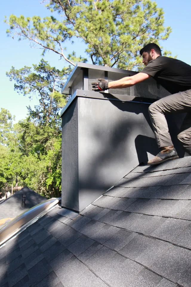 Chimney Swift Services - Professional Animal Removal