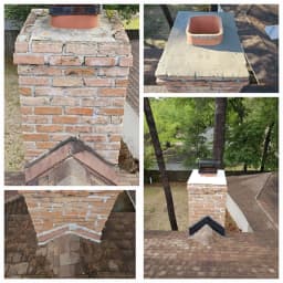 Wildlife in chimney