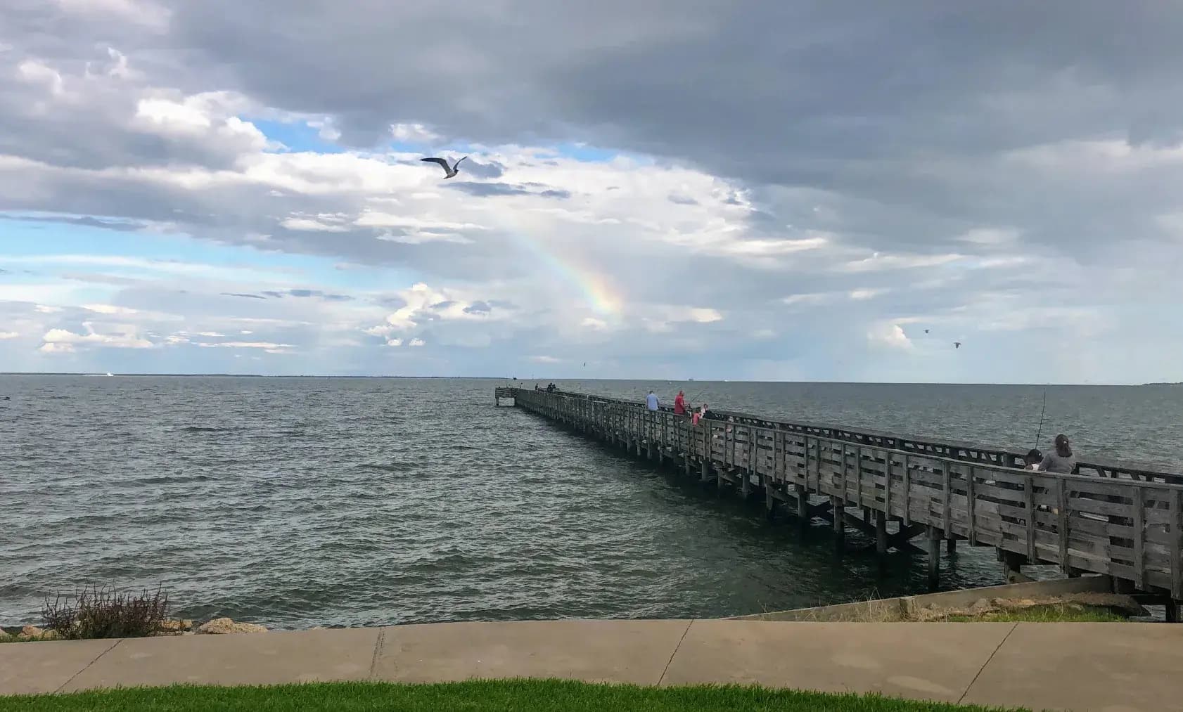 Make Memories at Seabreeze Park in La Porte, TX – Perfect for Nature Lovers and Families