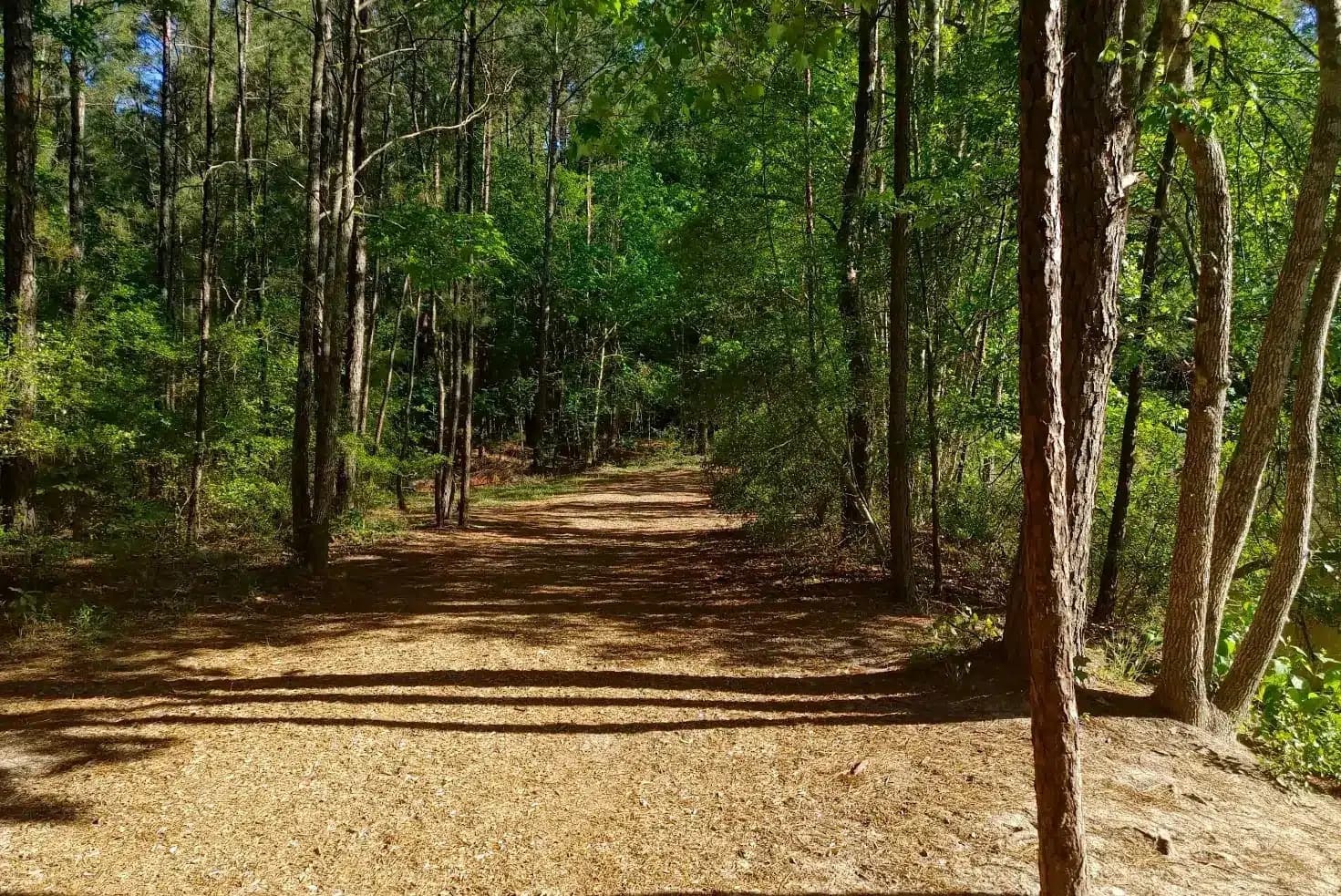 Outdoor Adventures Await: Exploring the Natural Beauty of Pundt Park in Spring, TX