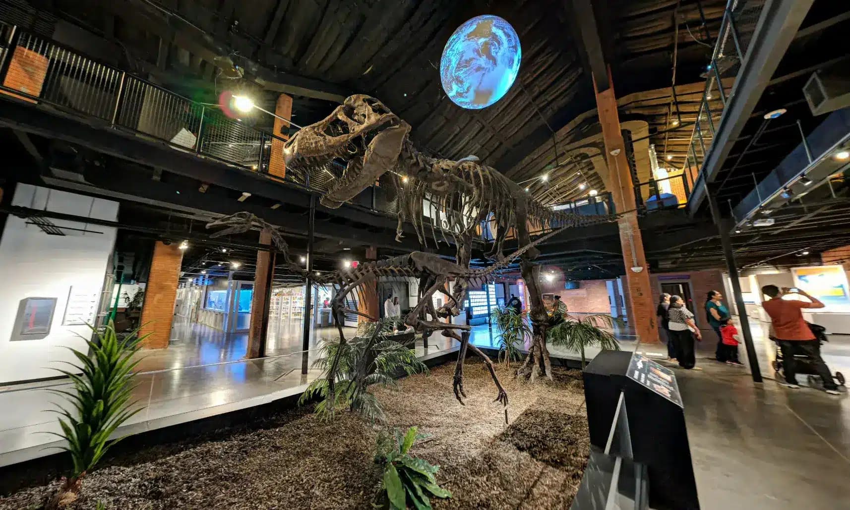 A Journey Through Time: Must-See Exhibits at the Houston Museum of Natural Science in Sugar Land, TX