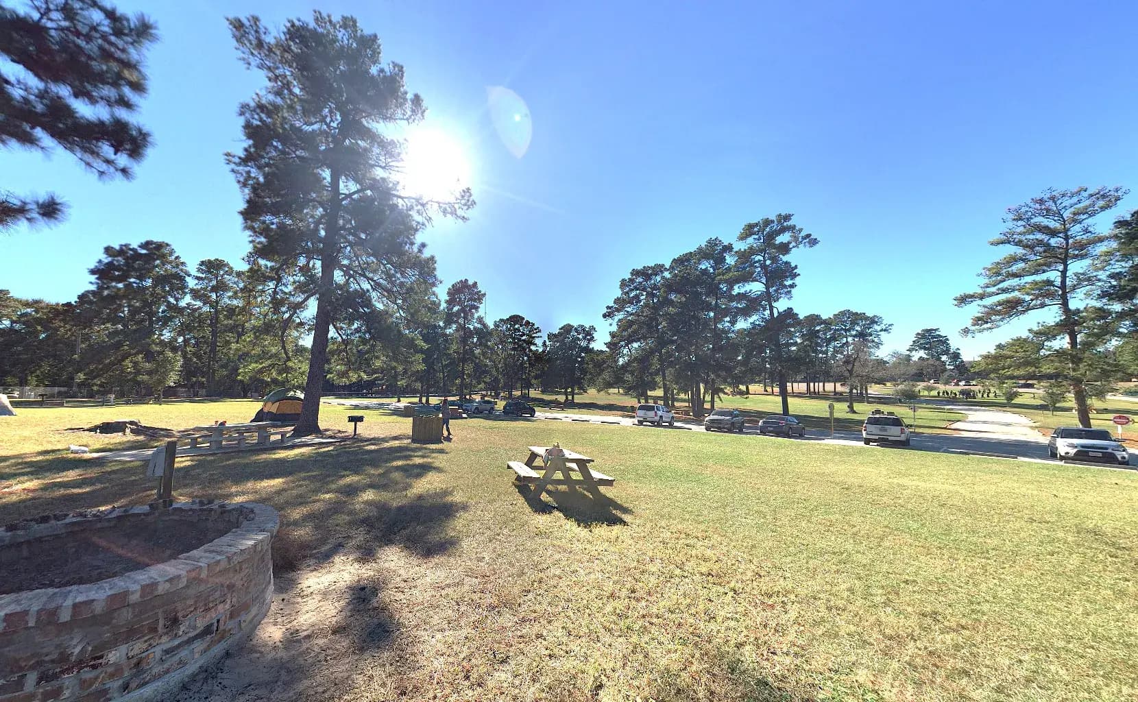 Reconnect with Nature at Spring Creek Park in Tomball, TX