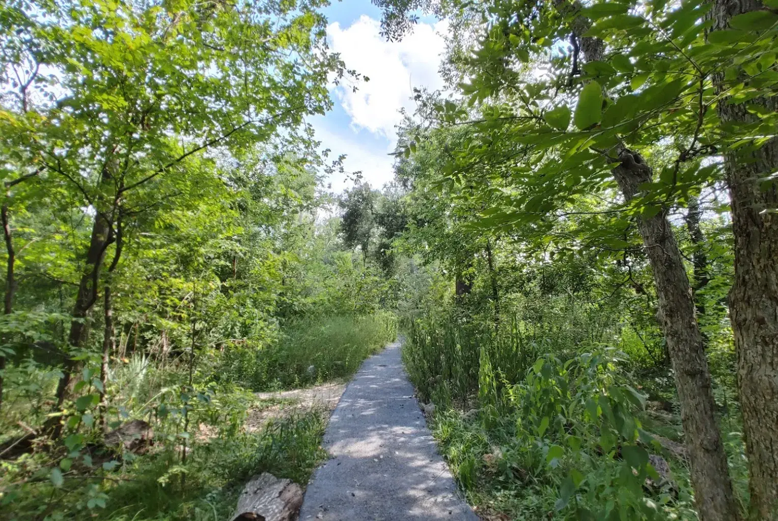 Exploring Nature's Beauty: A Guide to Russ Pitman Park in Bellaire, TX