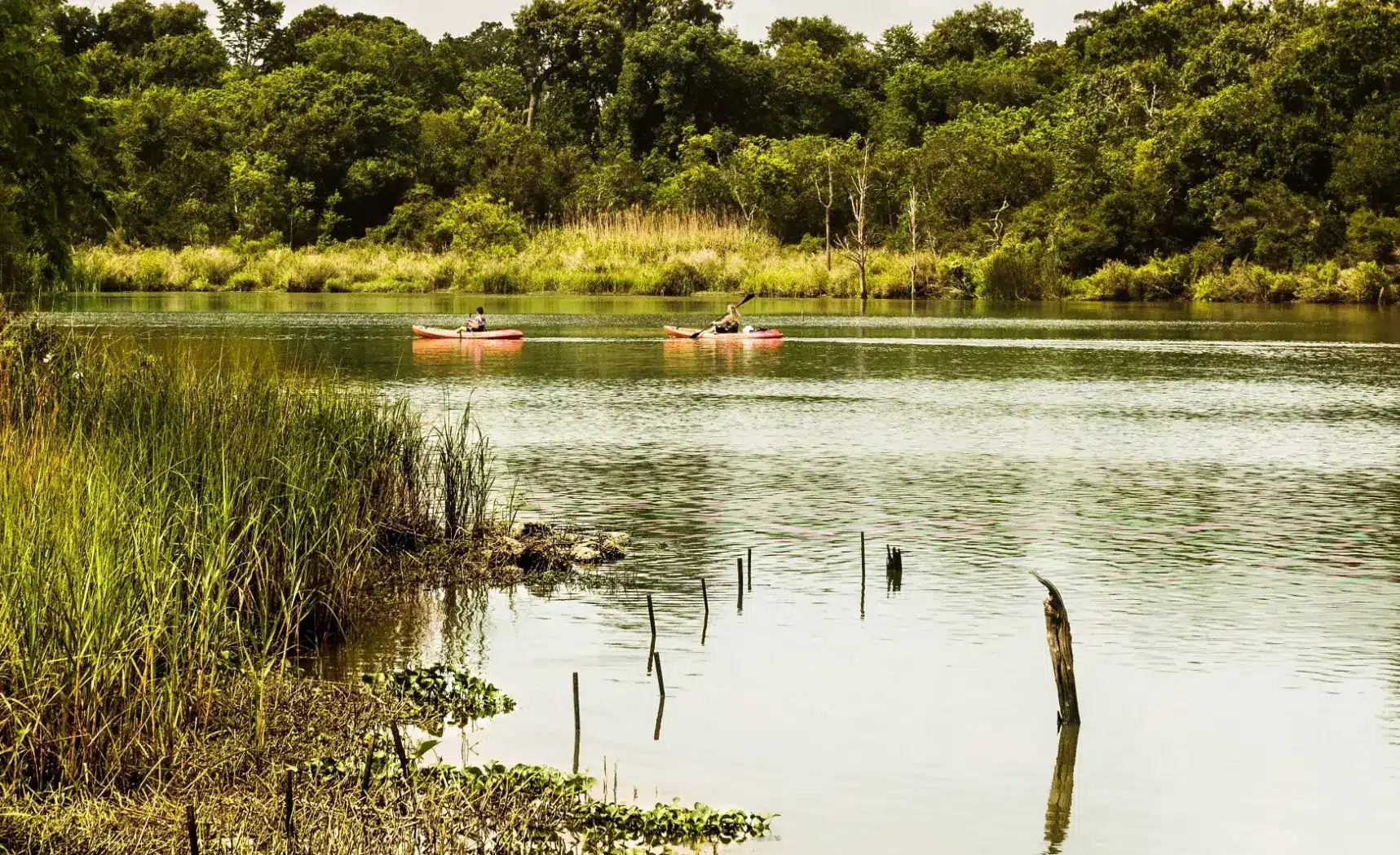 A Nature Lover’s Paradise: Discovering Armand Bayou Nature Center in Pasadena, TX