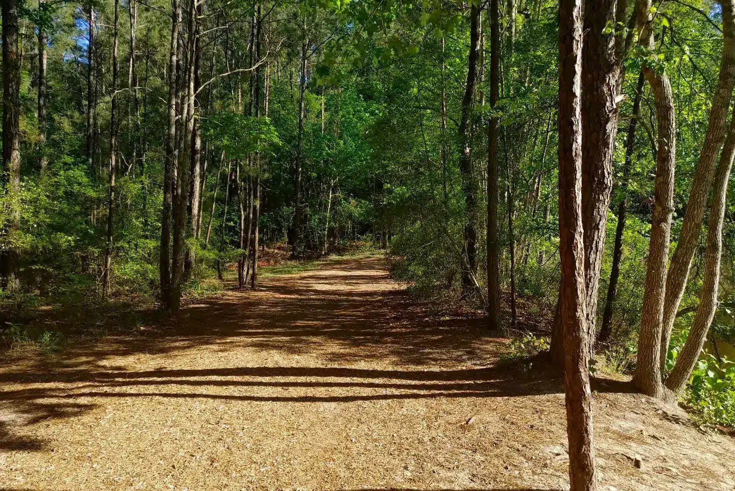Outdoor Adventures Await: Exploring the Natural Beauty of Pundt Park in Spring, TX