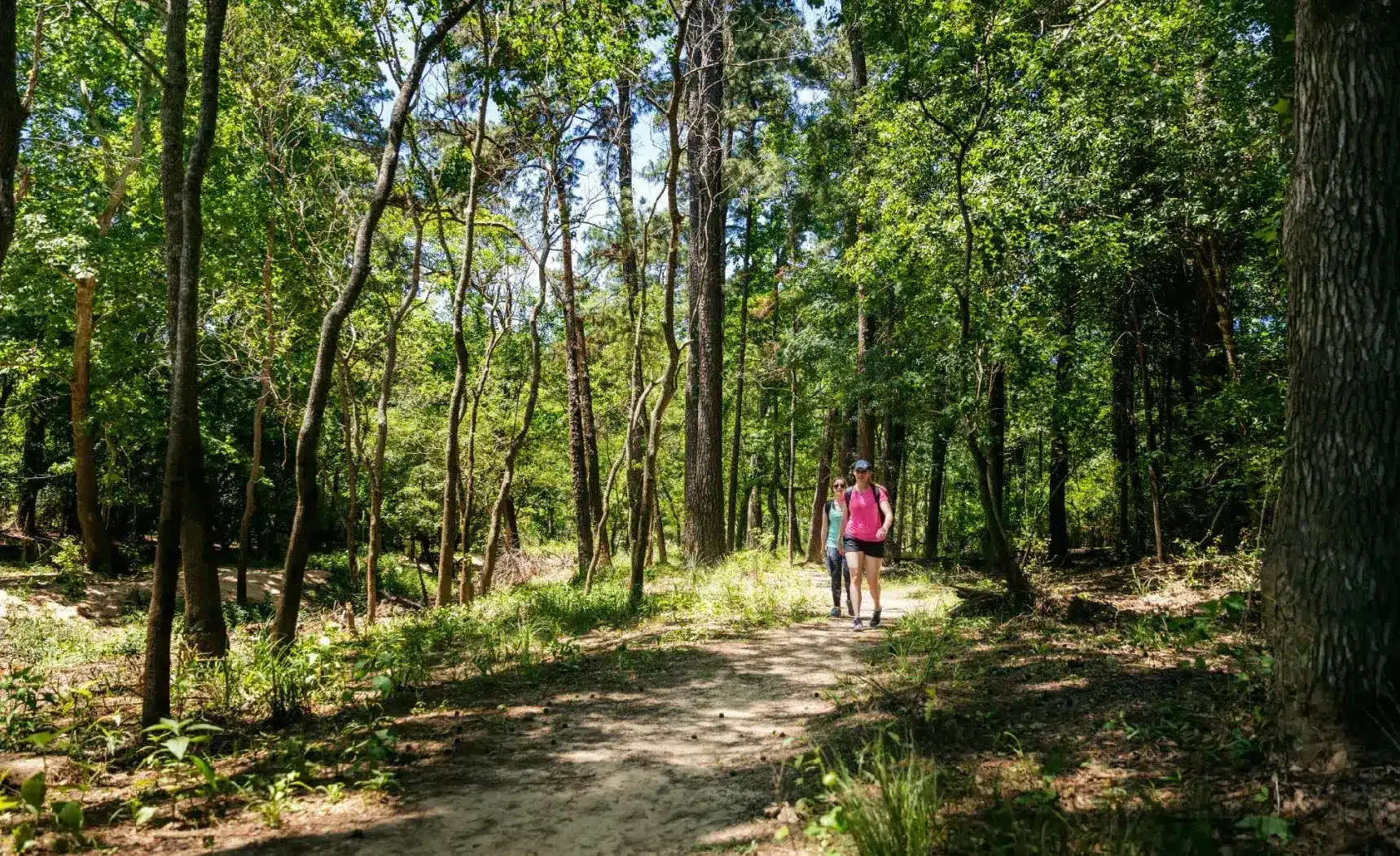Discover the Wildlife and Trails at George Mitchell Nature Preserve in The Woodlands, TX