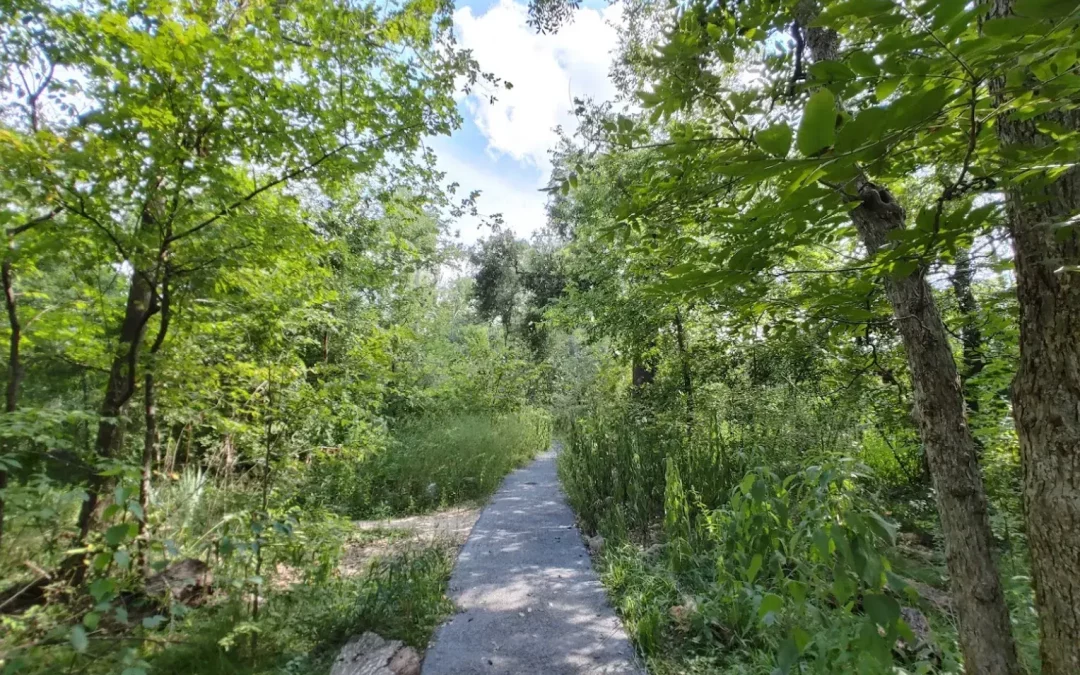 Exploring Nature’s Beauty: A Guide to Russ Pitman Park in Bellaire, TX