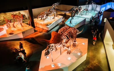 Explore the Wonders of the Houston Museum of Natural Science in Houston, TX