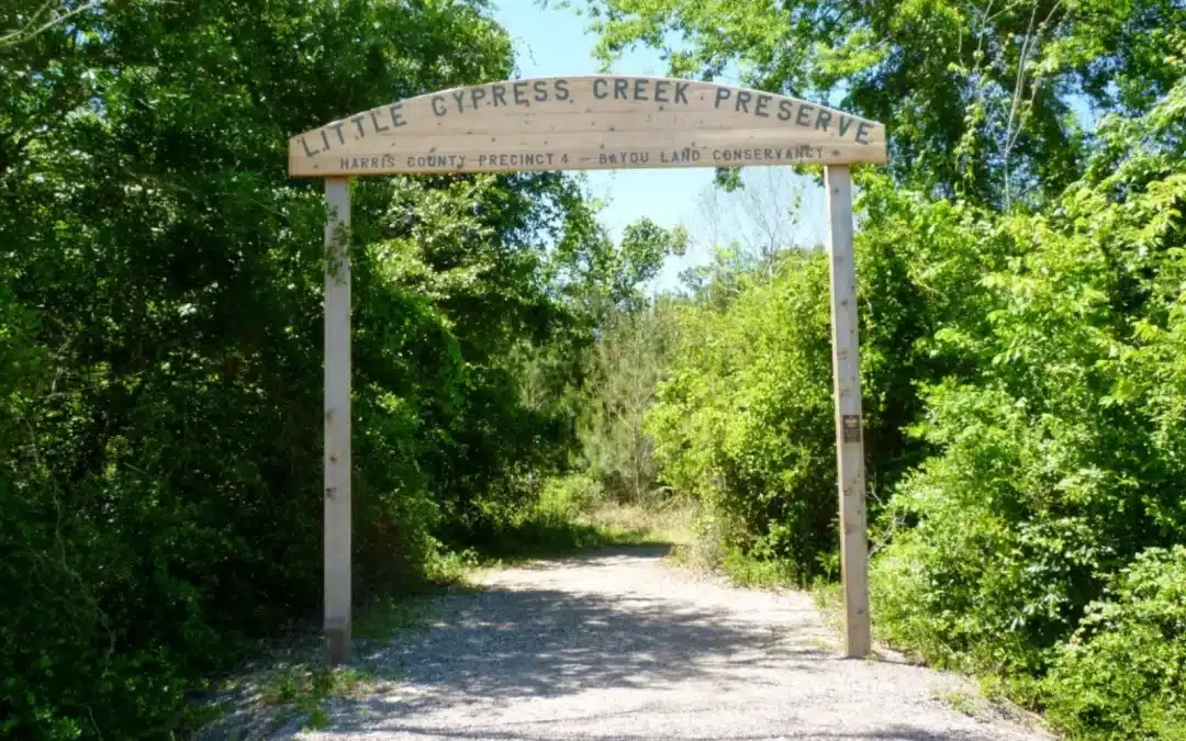 Discover the Beauty of Little Cypress Creek Preserve: A Hidden Gem in Cypress, TX