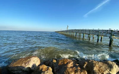 Looking for Fun on the Water? Visit Sylvan Beach Park in La Porte, TX for an Unforgettable Day