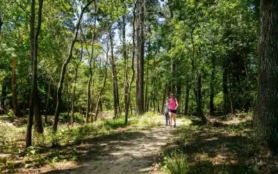 Discover the Wildlife and Trails at George Mitchell Nature Preserve in The Woodlands, TX